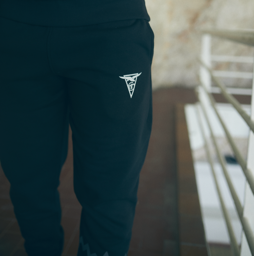JOGGING PUMA 23/24 HOODIE PANTS